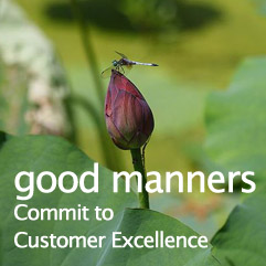 good manners