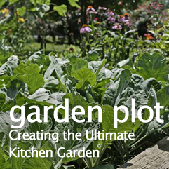 garden plot