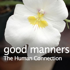 good manners